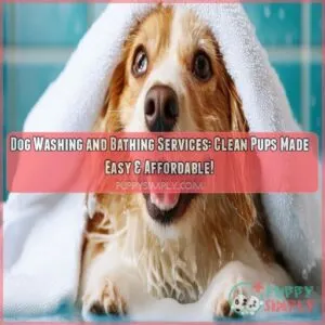 Dog washing and bathing services