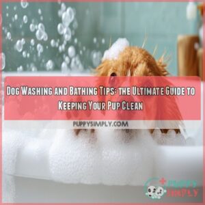 Dog washing and bathing tips