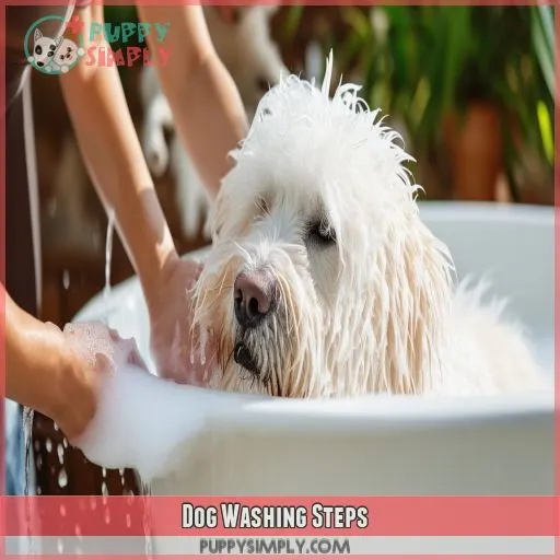 Dog Washing Steps