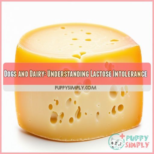 Dogs and Dairy: Understanding Lactose Intolerance