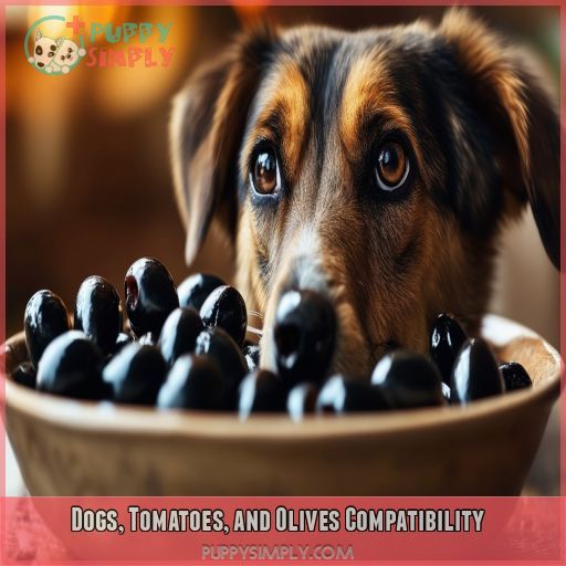Dogs, Tomatoes, and Olives Compatibility