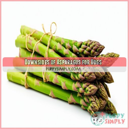 Downsides of Asparagus for Dogs