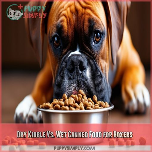 Dry Kibble Vs. Wet Canned Food for Boxers