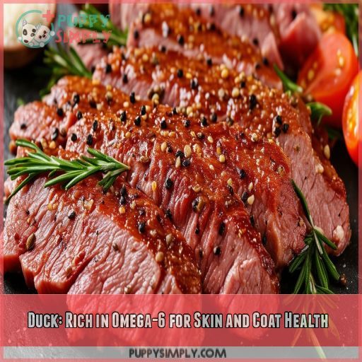 Duck: Rich in Omega-6 for Skin and Coat Health