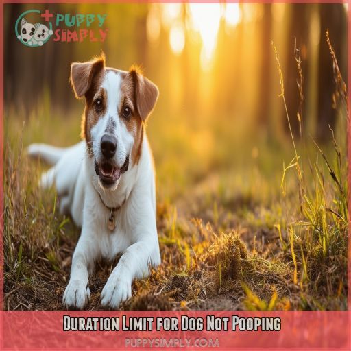 Duration Limit for Dog Not Pooping