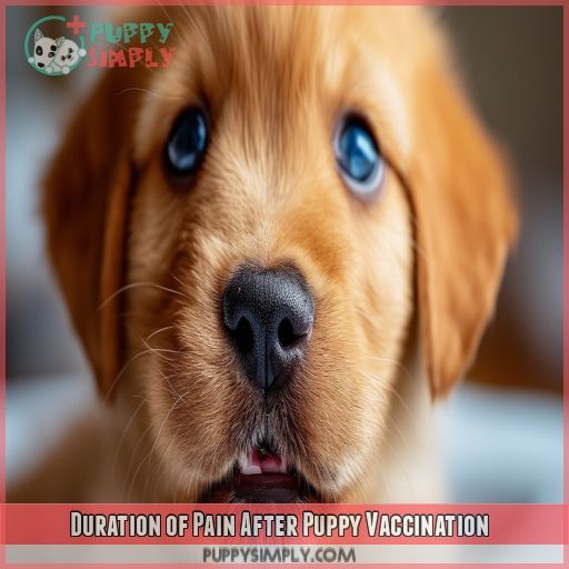 Duration of Pain After Puppy Vaccination