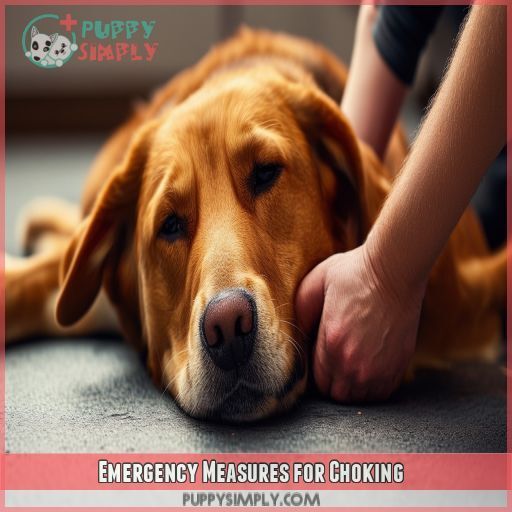 Emergency Measures for Choking Emergency Measures for Choking