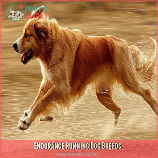 Endurance Running Dog Breeds