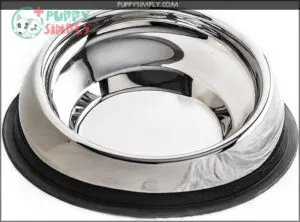 Enhanced Pet Bowl, Stainless Steel