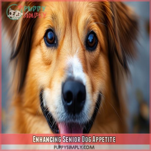 Enhancing Senior Dog Appetite