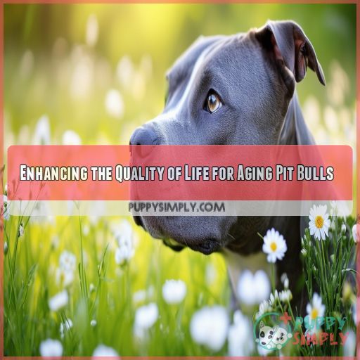 Enhancing the Quality of Life for Aging Pit Bulls