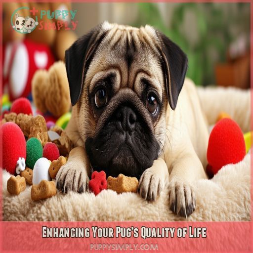 Enhancing Your Pug’s Quality of Life