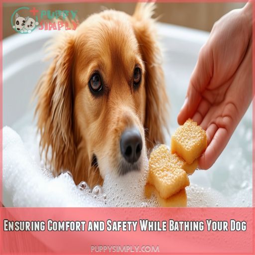 Ensuring Comfort and Safety While Bathing Your Dog