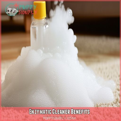 Enzymatic Cleaner Benefits