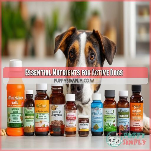 Essential Nutrients for Active Dogs Essential Nutrients for Active Dogs