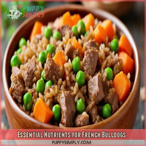 Essential Nutrients for French Bulldogs