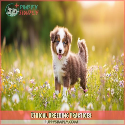 Ethical Breeding Practices Ethical Breeding Practices