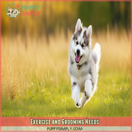 Exercise and Grooming Needs