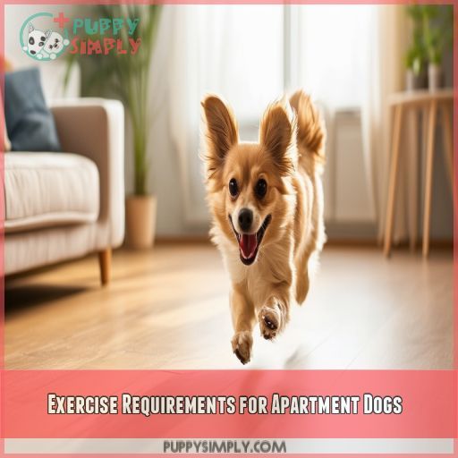 Exercise Requirements for Apartment Dogs