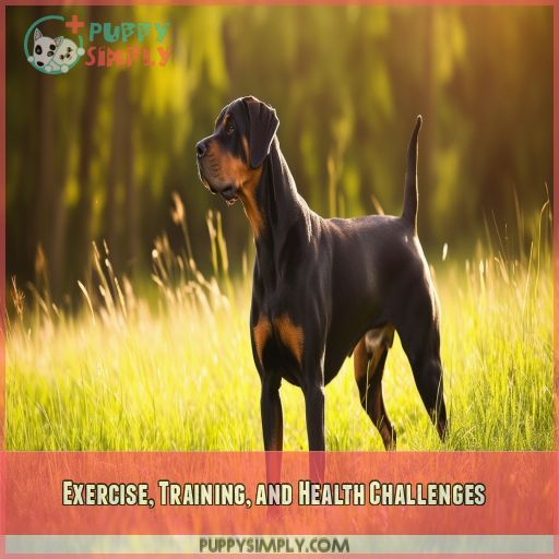Exercise, Training, and Health Challenges
