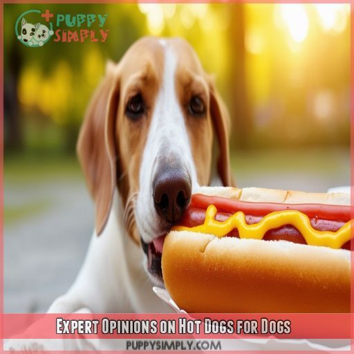 Expert Opinions on Hot Dogs for Dogs