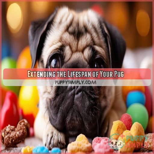 Extending the Lifespan of Your Pug