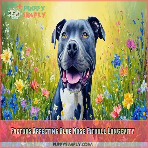 Factors Affecting Blue Nose Pitbull Longevity