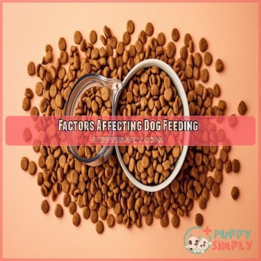 Factors Affecting Dog Feeding