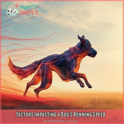 Factors Impacting a Dog