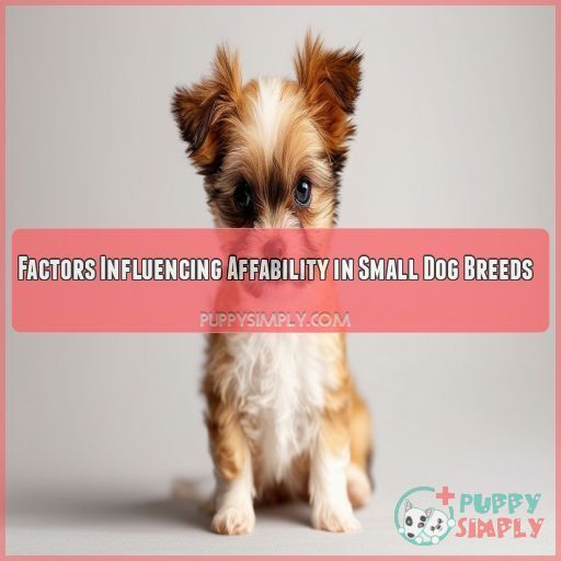Factors Influencing Affability in Small Dog Breeds Factors Influencing Affability in Small Dog Breeds