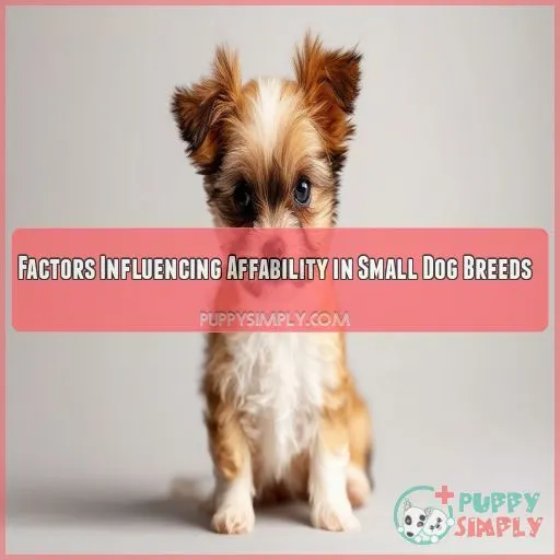 Factors Influencing Affability in Small Dog Breeds