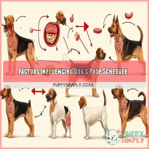 Factors Influencing Dog