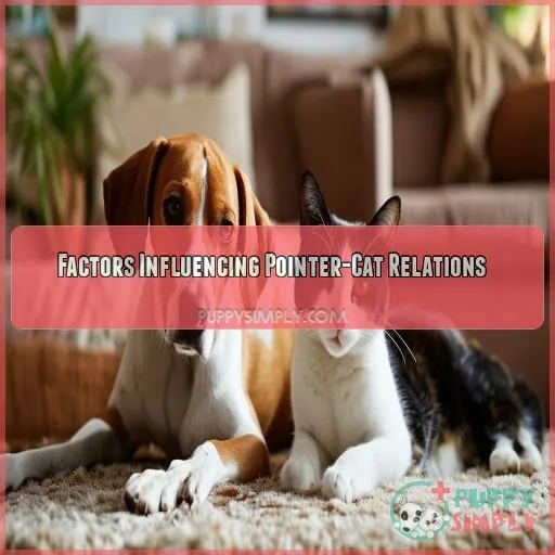 Factors Influencing Pointer-Cat Relations