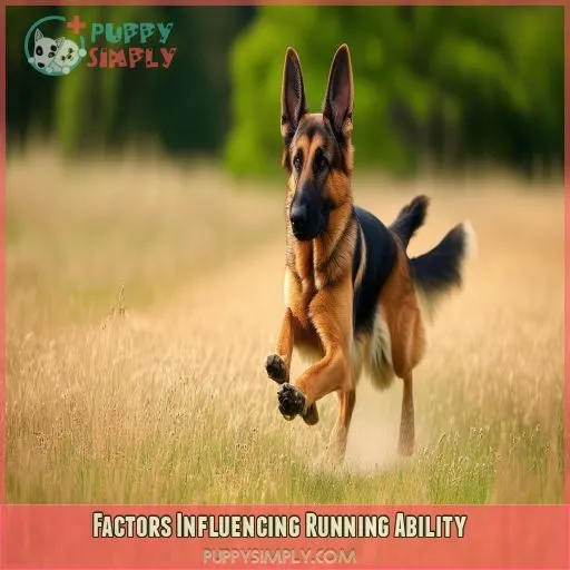 Factors Influencing Running Ability