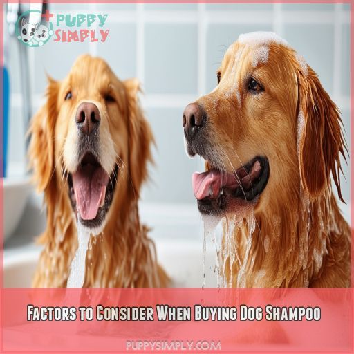 Factors to Consider When Buying Dog Shampoo