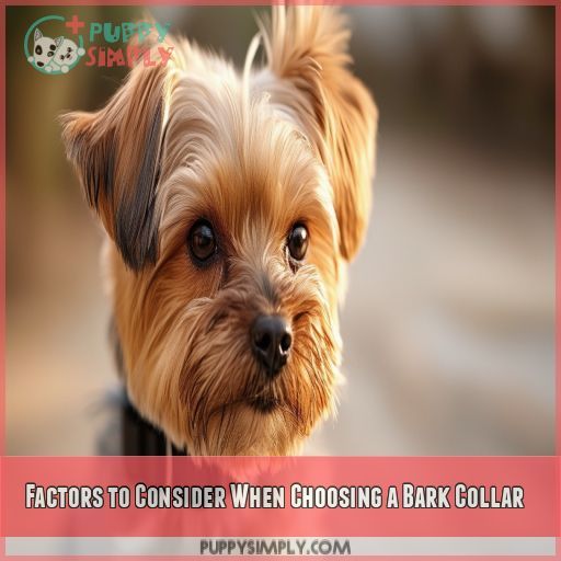 Factors to Consider When Choosing a Bark Collar