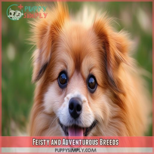 Feisty and Adventurous Breeds