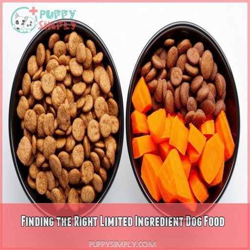 Finding the Right Limited Ingredient Dog Food