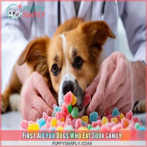 First Aid for Dogs Who Eat Sour Candy