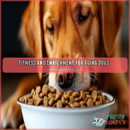 Fitness and Enrichment for Aging Dogs