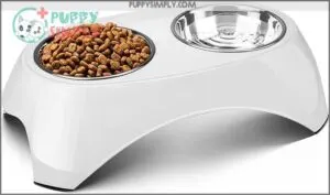 Flexzion Elevated Dog Bowl -