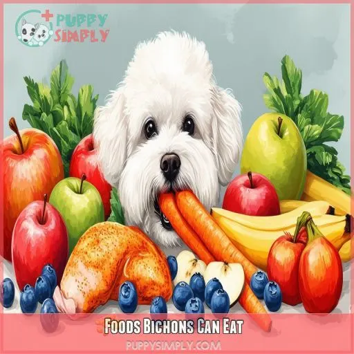 Foods Bichons Can Eat