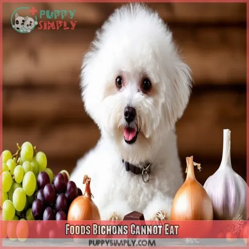 Foods Bichons Cannot Eat