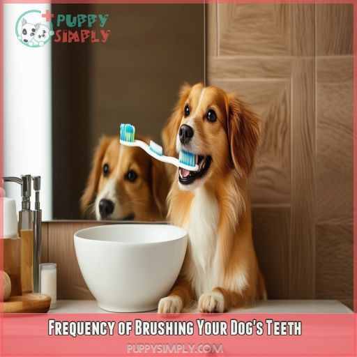 Frequency of Brushing Your Dog