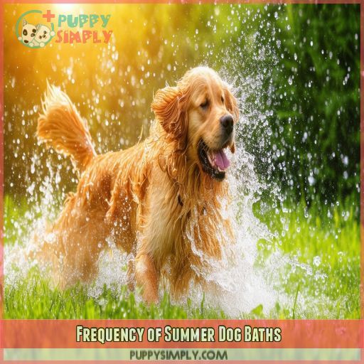 Frequency of Summer Dog Baths