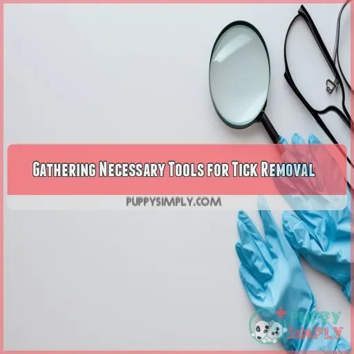 Gathering Necessary Tools for Tick Removal