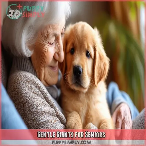 Gentle Giants for Seniors