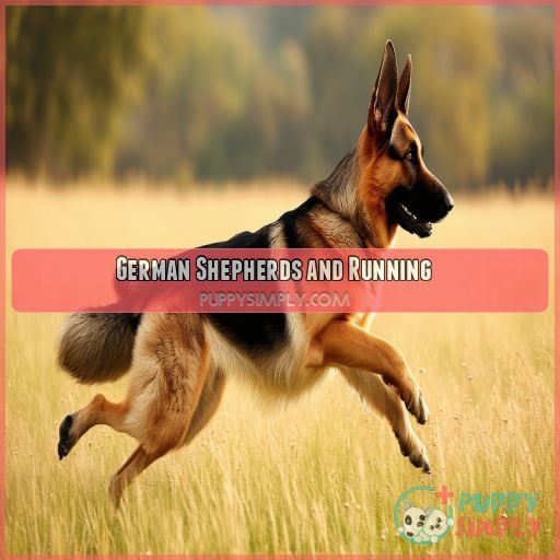 German Shepherds and Running