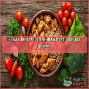 Gluten free natural dog food options