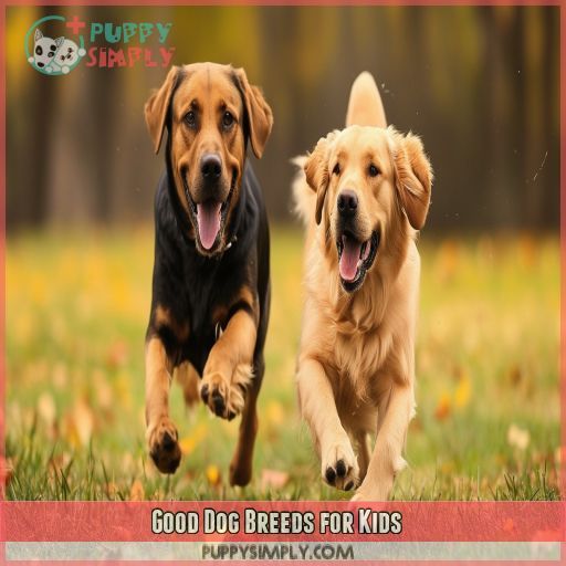 Good Dog Breeds for Kids